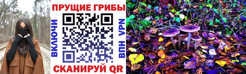Псилоцибиновые грибы мицелий  Тимашёвск 